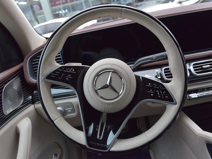 Фото 25 - Mercedes-Benz Maybach GLS