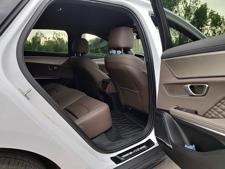 Фото 13 - BYD Han