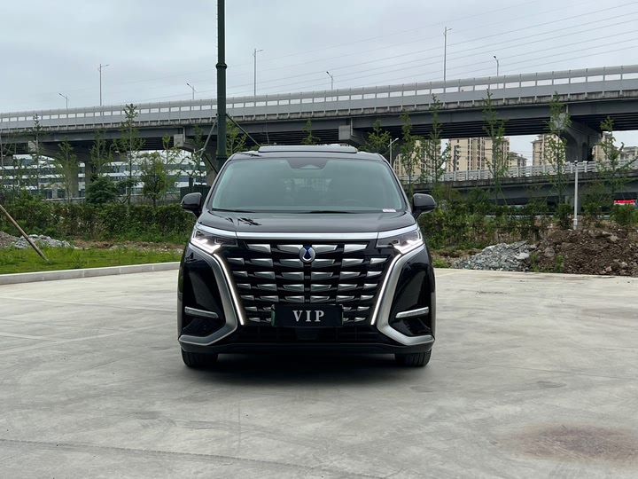 Фото 1 - Denza D9