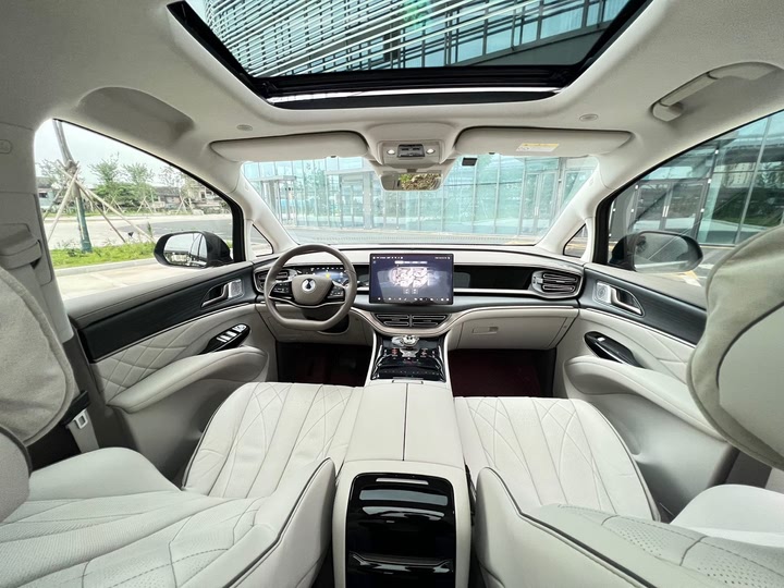 Фото 11 - Denza D9