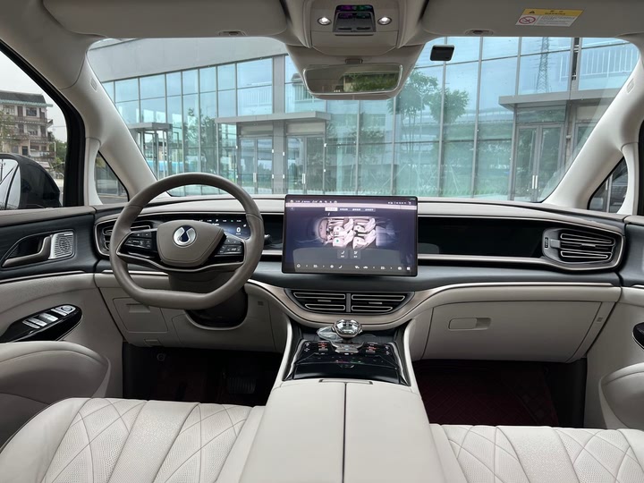 Фото 12 - Denza D9