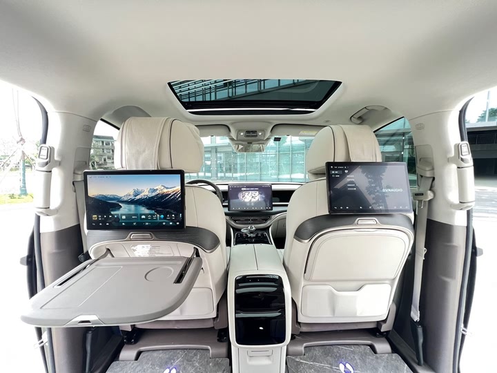 Фото 13 - Denza D9