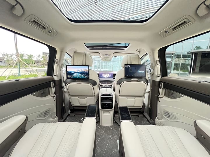 Фото 14 - Denza D9