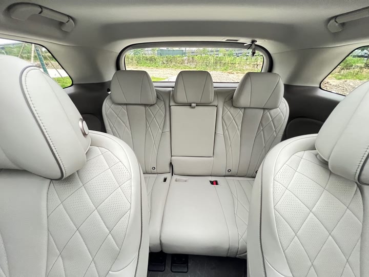 Фото 15 - Denza D9