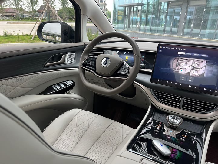 Фото 17 - Denza D9