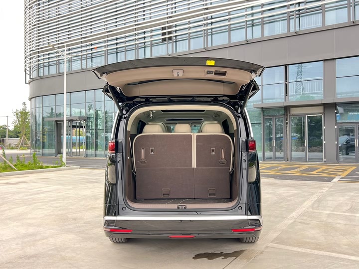 Фото 19 - Denza D9