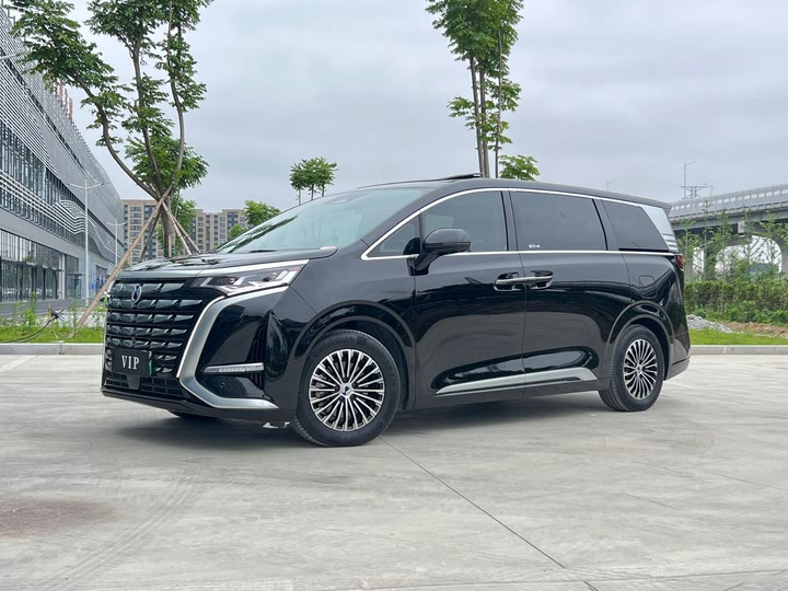 Фото 2 - Denza D9