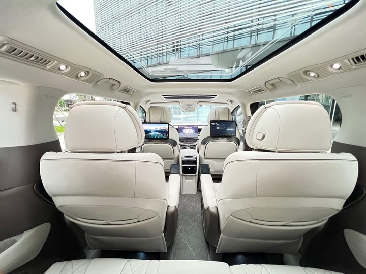 Фото 20 - Denza D9