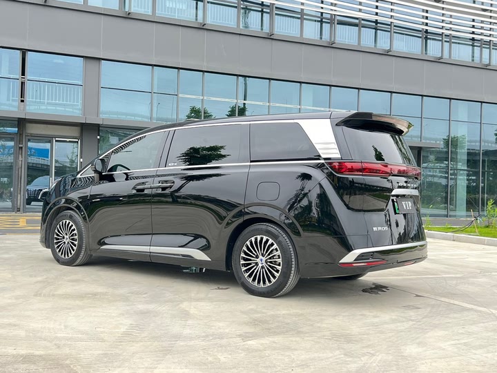 Фото 21 - Denza D9