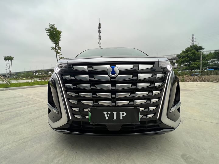 Фото 24 - Denza D9