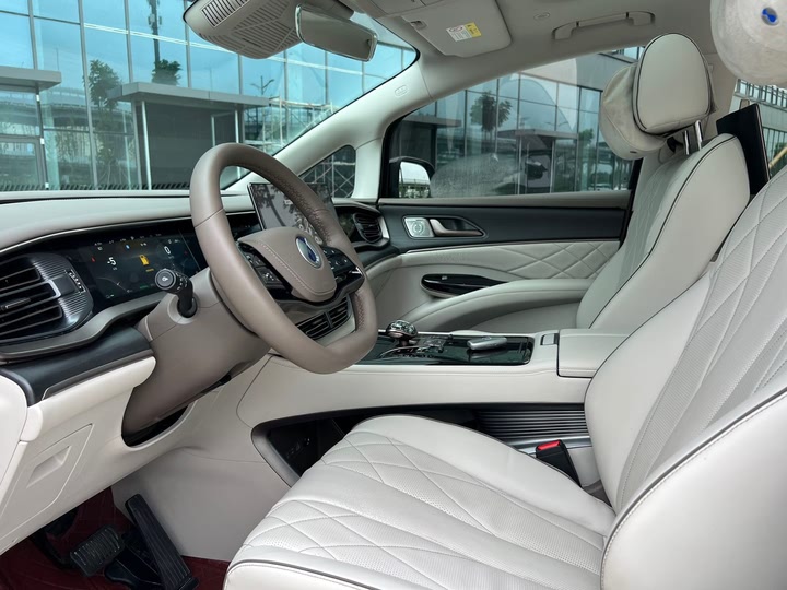 Фото 28 - Denza D9