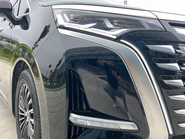 Фото 29 - Denza D9