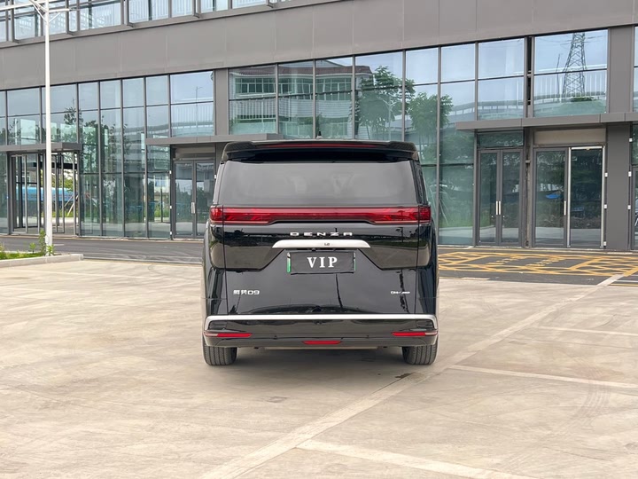 Фото 4 - Denza D9