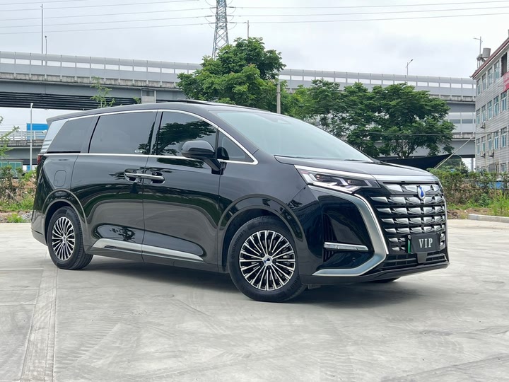 Фото 5 - Denza D9