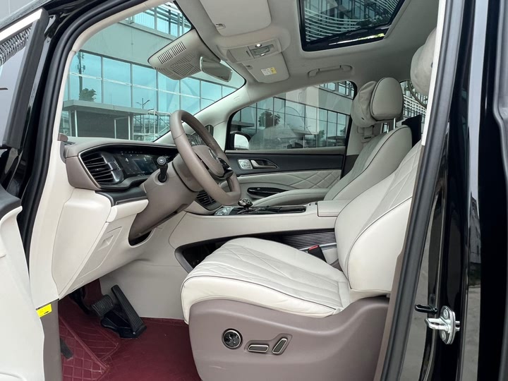 Фото 6 - Denza D9