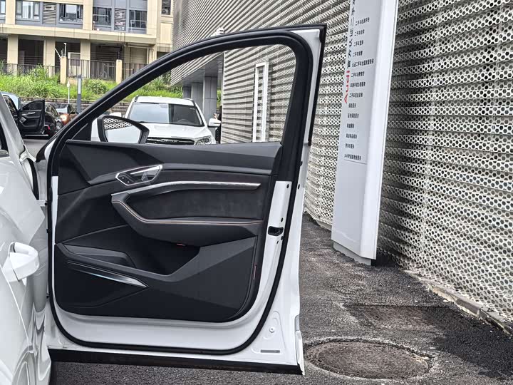 Фото 27 - Audi e-tron