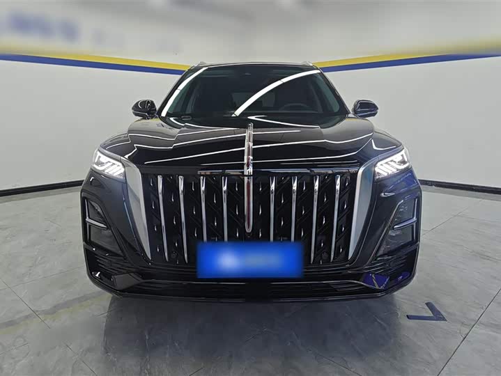 Фото 3 - Hongqi HS5