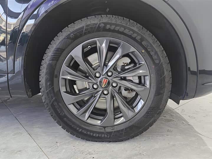 Фото 4 - Hongqi HS5