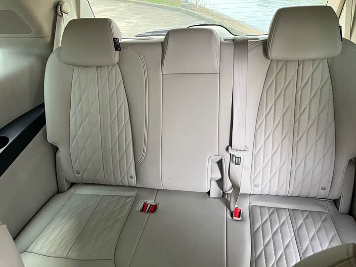 Фото 6 - Buick GL8 ES