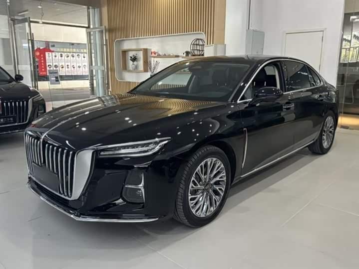 Фото 3 - Hongqi H5