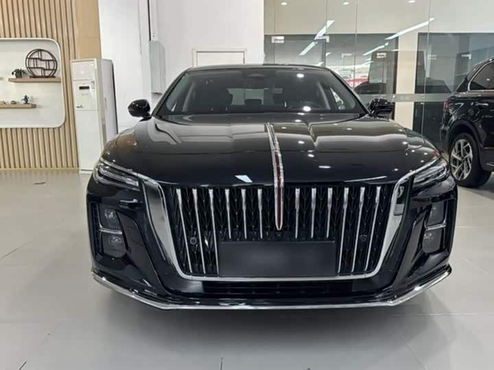 Фото 6 - Hongqi H5