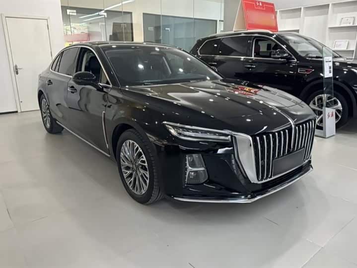 Фото 7 - Hongqi H5