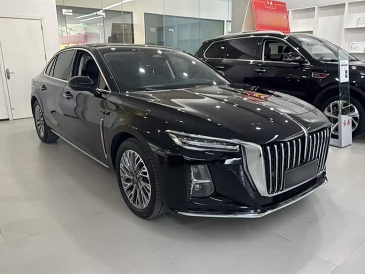 Фото 8 - Hongqi H5