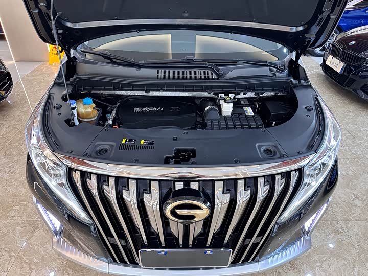 Фото 17 - GAC Trumpchi M8