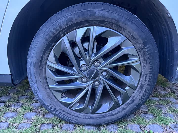 Фото 23 - Maxus G50