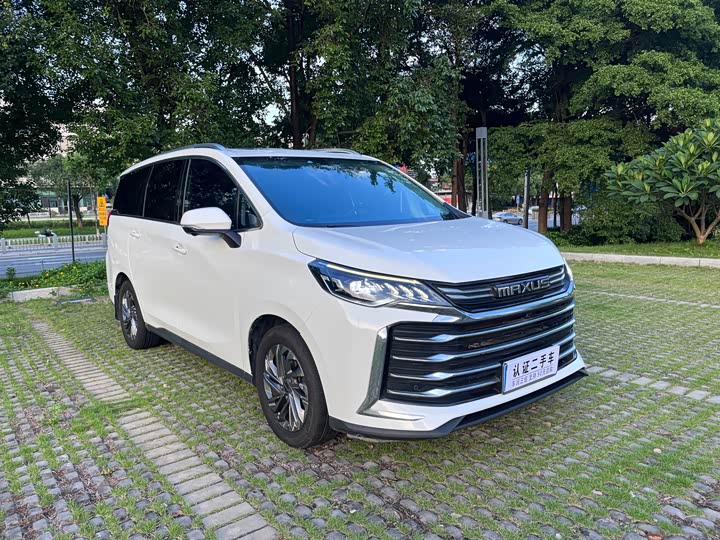 Фото 3 - Maxus G50