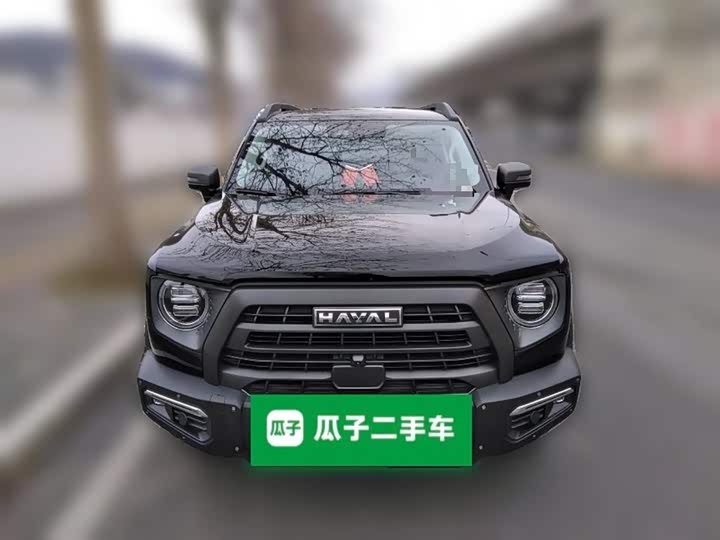 Фото 3 - Haval Dargo