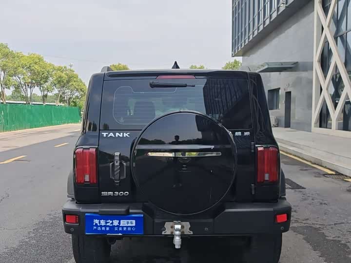 Фото 4 - Tank 300