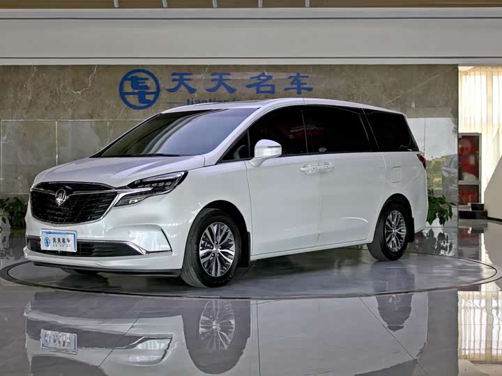 Фото 1 - Buick GL8 ES