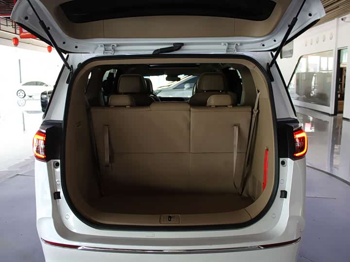 Фото 24 - Buick GL8 ES