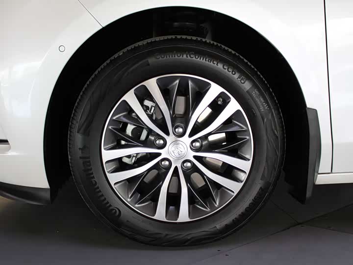 Фото 27 - Buick GL8 ES