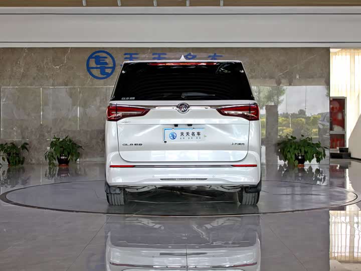 Фото 4 - Buick GL8 ES