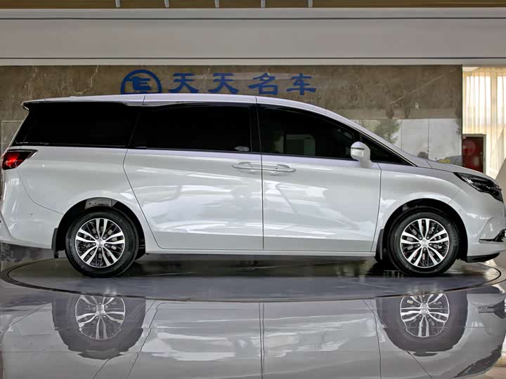 Фото 6 - Buick GL8 ES