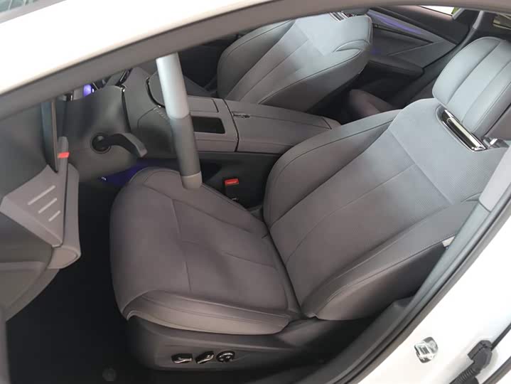 Фото 25 - Voyah Passion