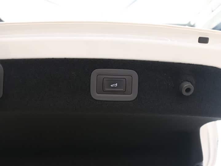 Фото 31 - Voyah Passion