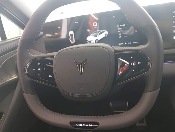 Фото 6 - Voyah Passion