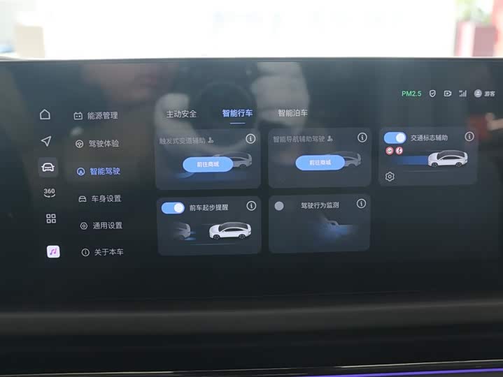 Фото 9 - Voyah Passion