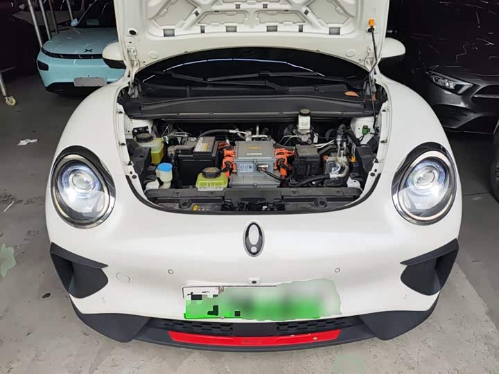 Фото 20 - Ora Good Cat GT (03 GT)