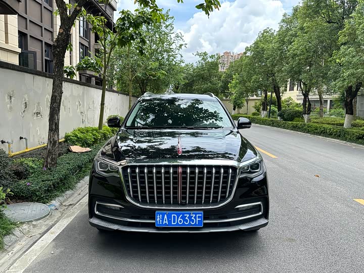 Фото 2 - Hongqi HS7