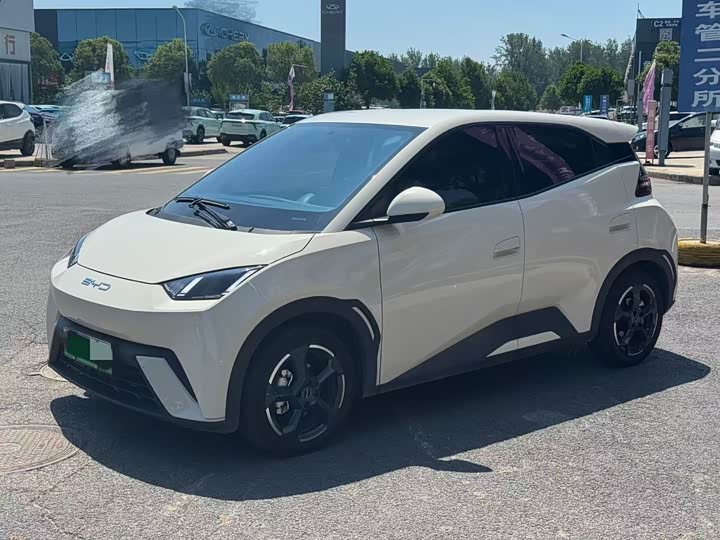 Фото 1 - BYD Seagull