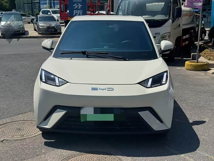 Фото 2 - BYD Seagull