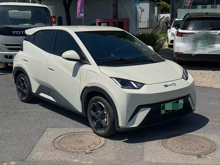 Фото 3 - BYD Seagull