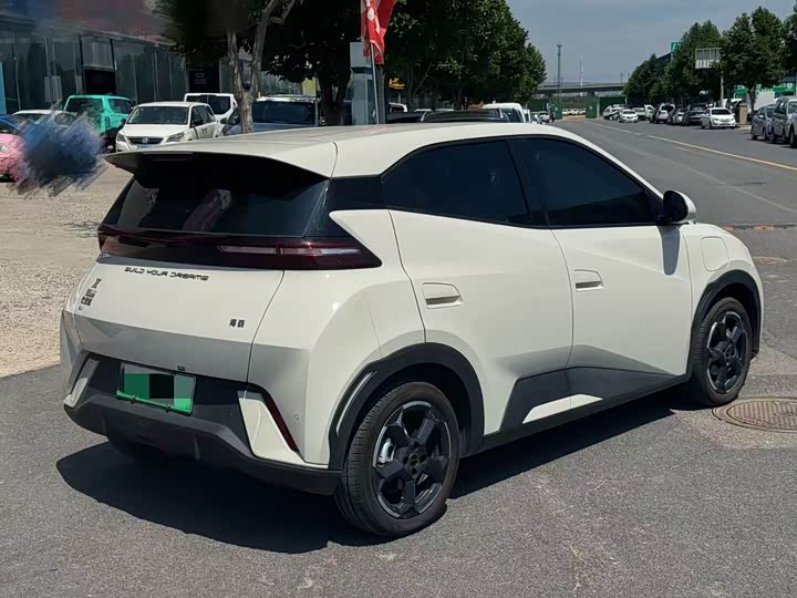 Фото 4 - BYD Seagull