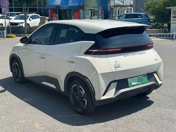 Фото 6 - BYD Seagull