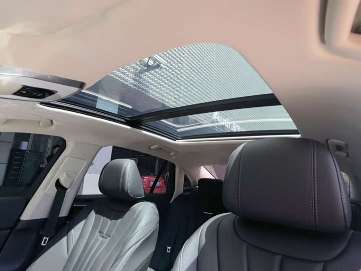 Фото 17 - Hongqi H5