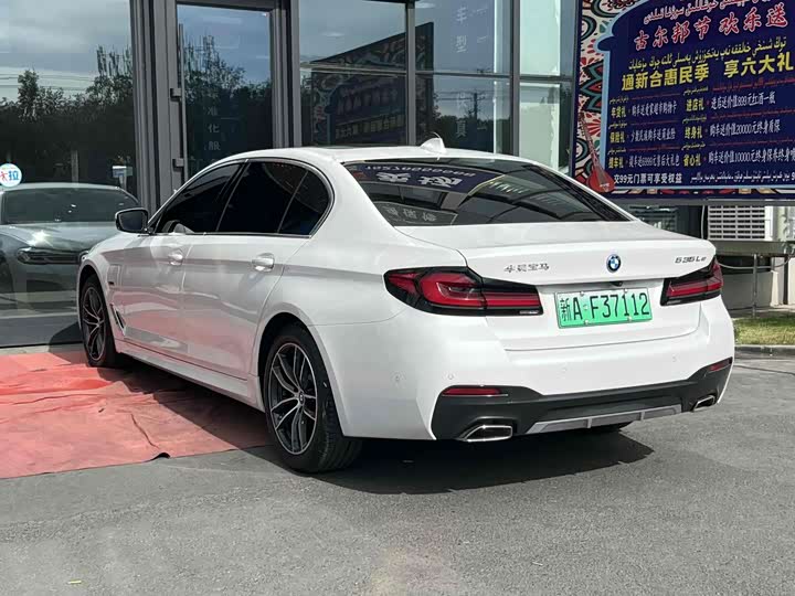 Фото 7 - BMW 5 Series Hybrid